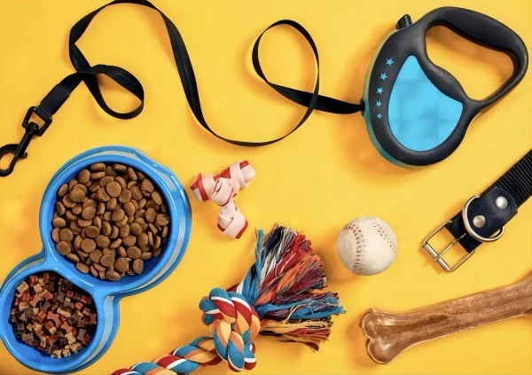 Pet Accessories