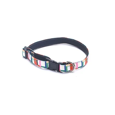 How To Wear A Pet Collar Correctly