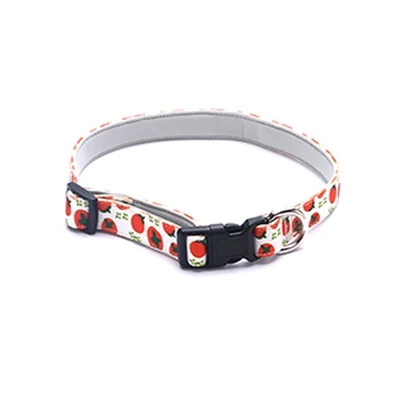 How To Resize A Pet Collar