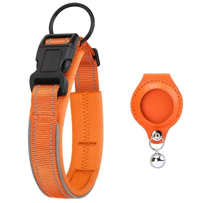 Precautions When Using Cat Collars