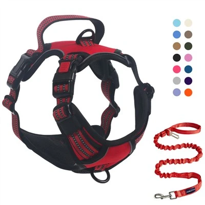 Basic Safety Design Large Dog Harness with Dog Leash