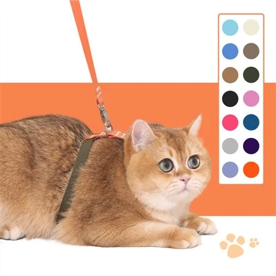 Cat Harness and Leash(webbing)