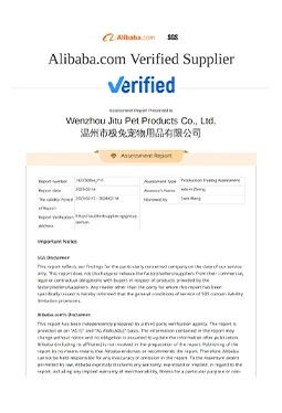 Honor2