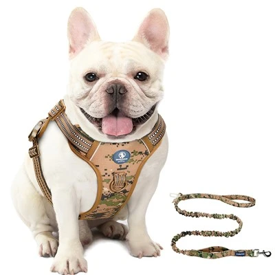 Basic Cushion Harness and Dog Leash