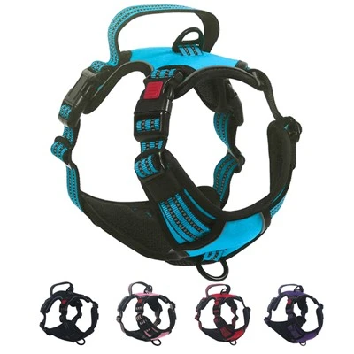 Basic Safety Design Dog Harness