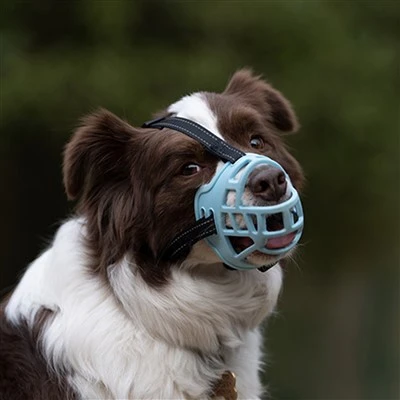 Basket Style Dog Muzzle