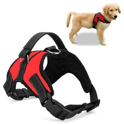 Most Comfortable No Pull Dog Harness