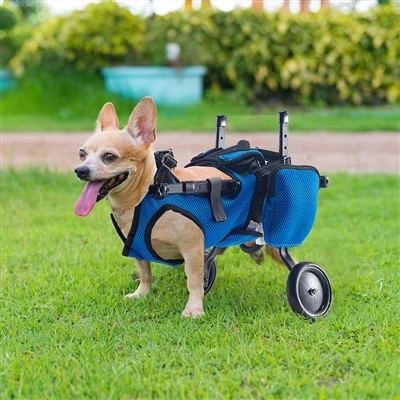 Small Dog Wheelchair For Back Legs