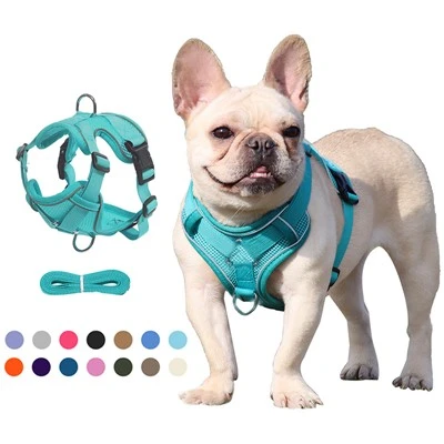 Breathable Puppy Carrier Set