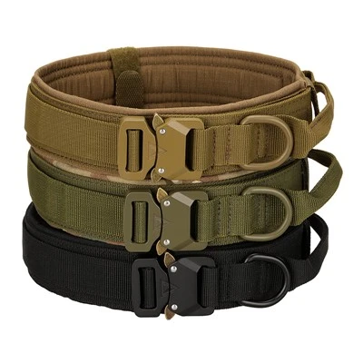 Custom Dog Collar for Tactical Training