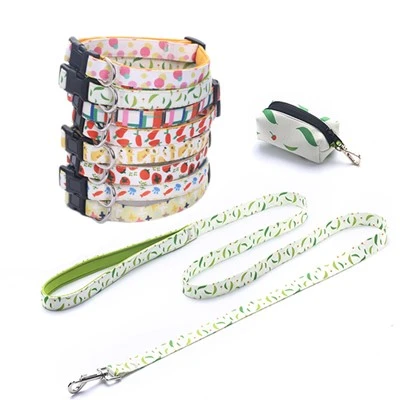 Custom Pet Three-piece Set with Collar