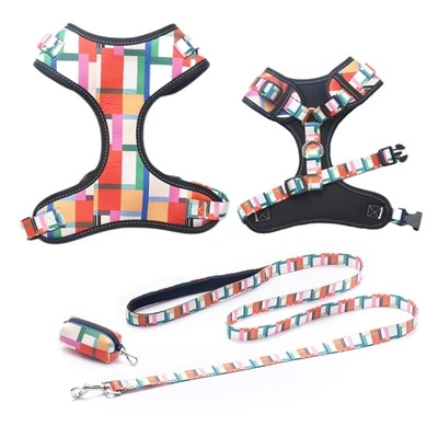 Custom Pet Three-piece Set with Harness
