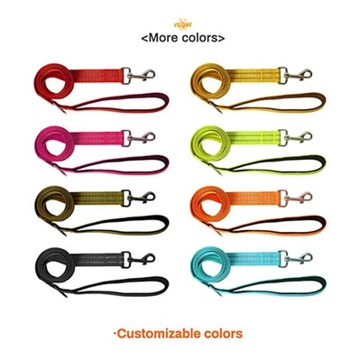 Customized Color Dog Leash