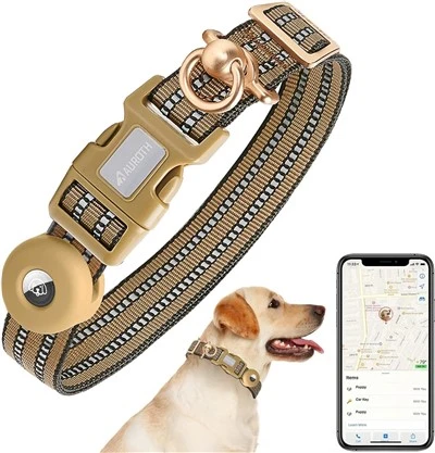 Dog Collar With Air Tag Holder (GPS Device Not Included)