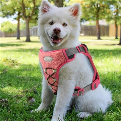 Dog Harness For Winter