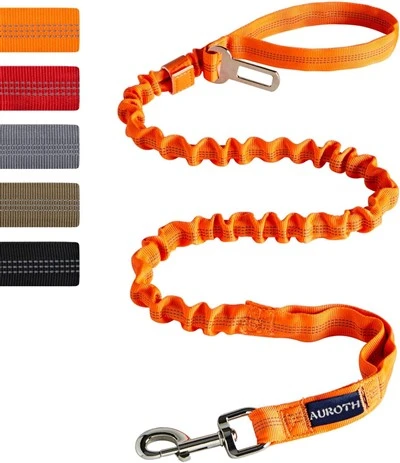 Dog Leash With Bungee Design 6 Ft