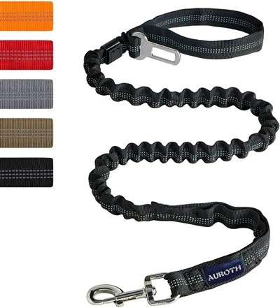 Dog Leash With Bungee Design