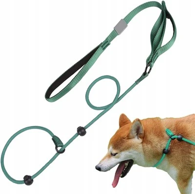 Dog Training Slip Lead