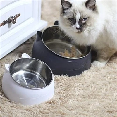 Elevated Stainless Steel Cat Bowls