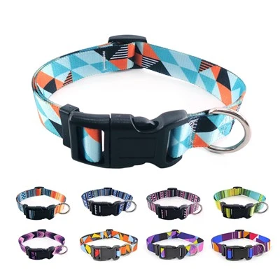 Geometry Dog Collar