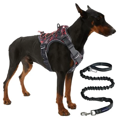 Dog Set