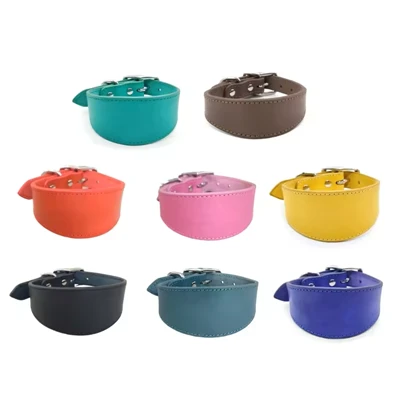 Leather Greyhound Collar
