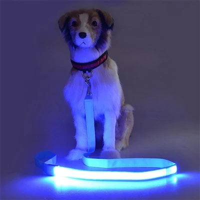Lighted Dog Collars And Leashes