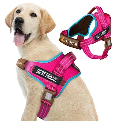 No Pull Dog Harness With Name