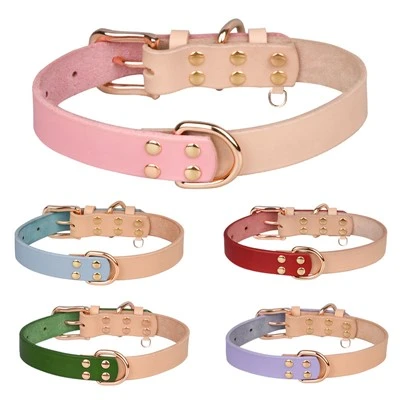 Personalized Leather Dog Collars