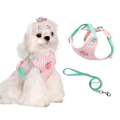 Puppy Harness And Leash Set