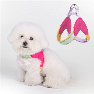 Puppy Harnesses For Small Dogs