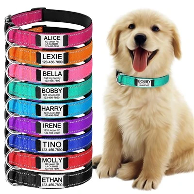 Reflective Dog Collar With Name Plate
